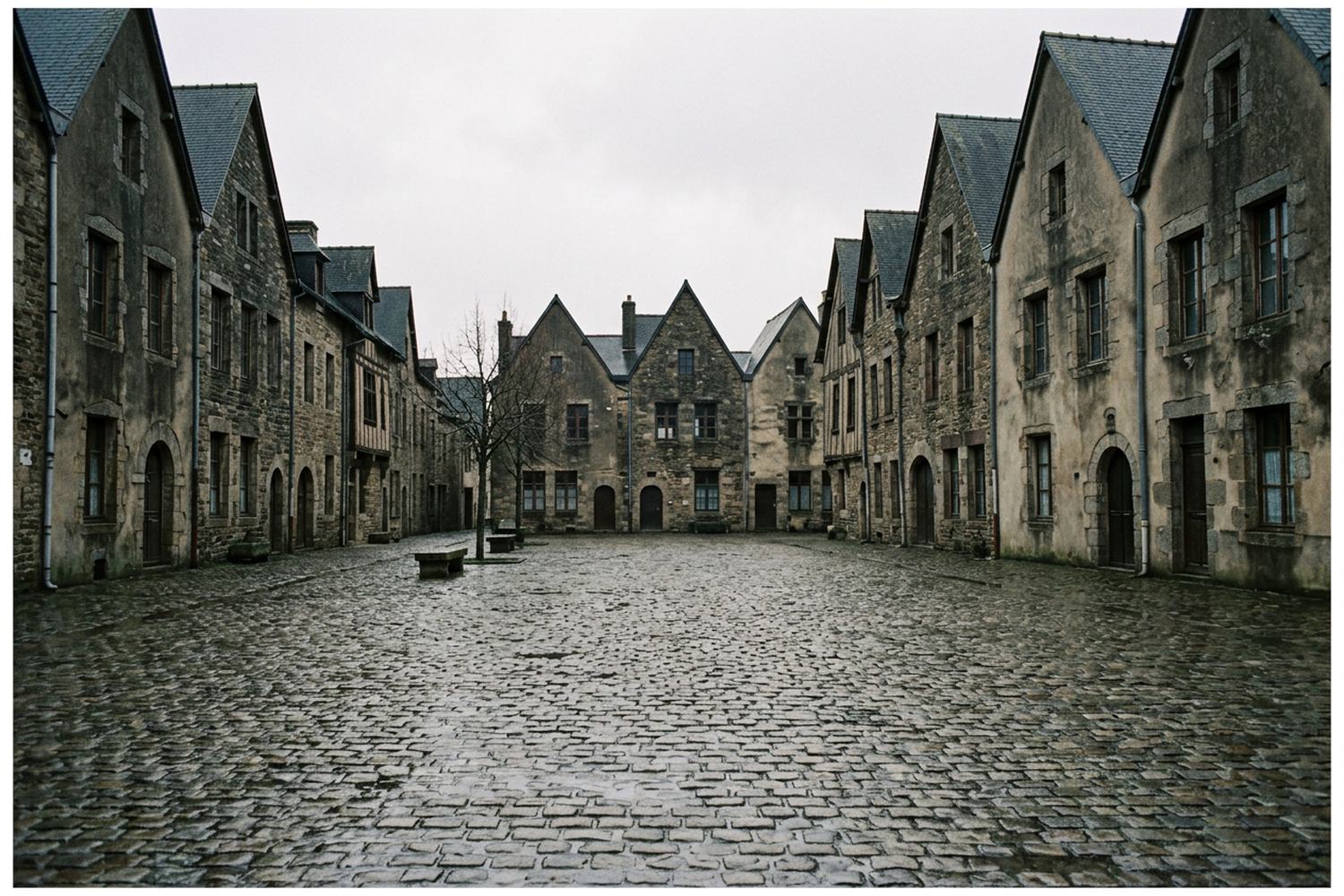 An empty cobbled street between tall stone gabled houses, the cobbles wet from rain