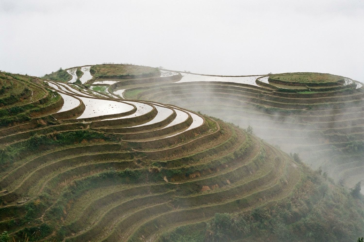 Terraced rice fields curving around a hillside with mist lying in the upper terraces